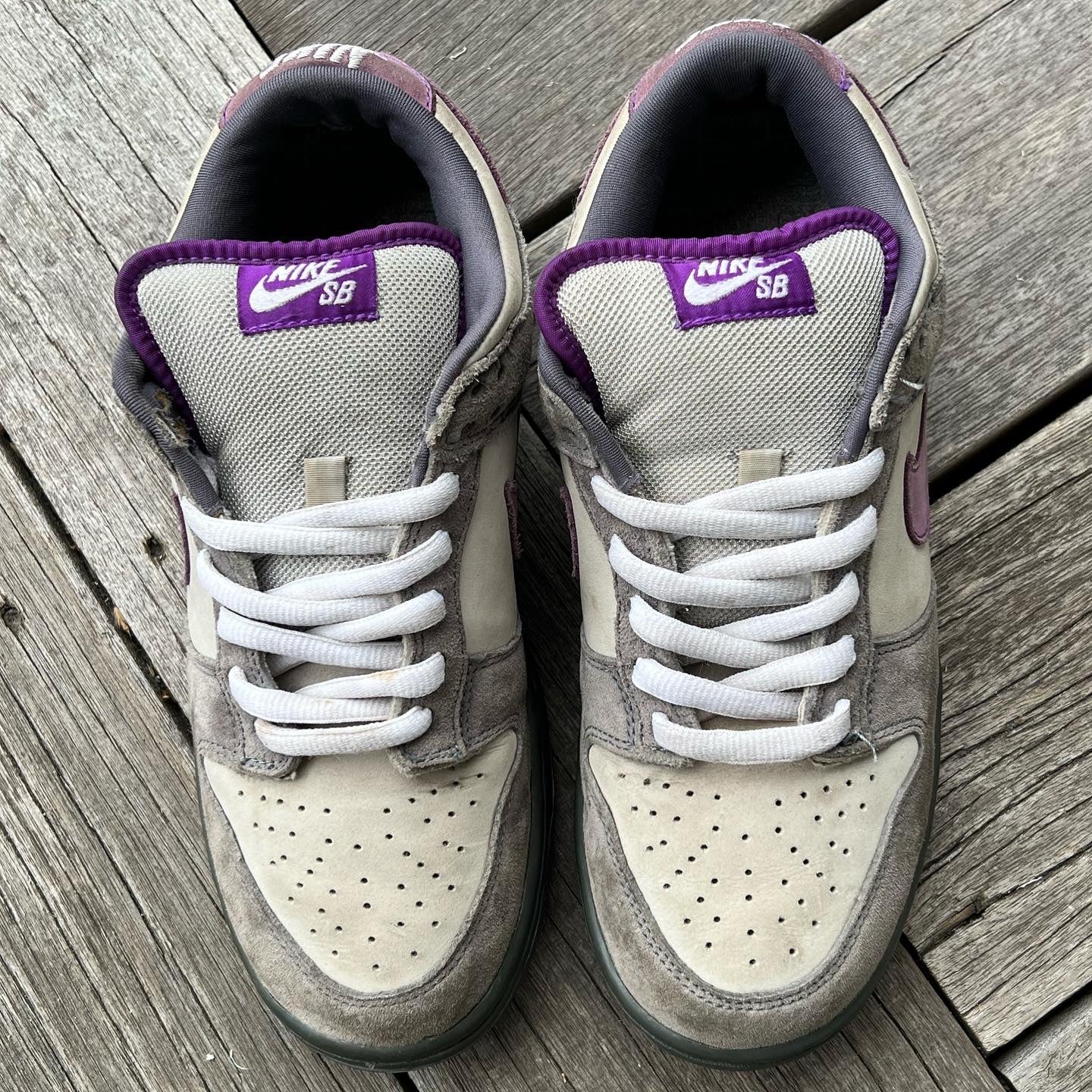 Sb dunk purple on sale pigeon