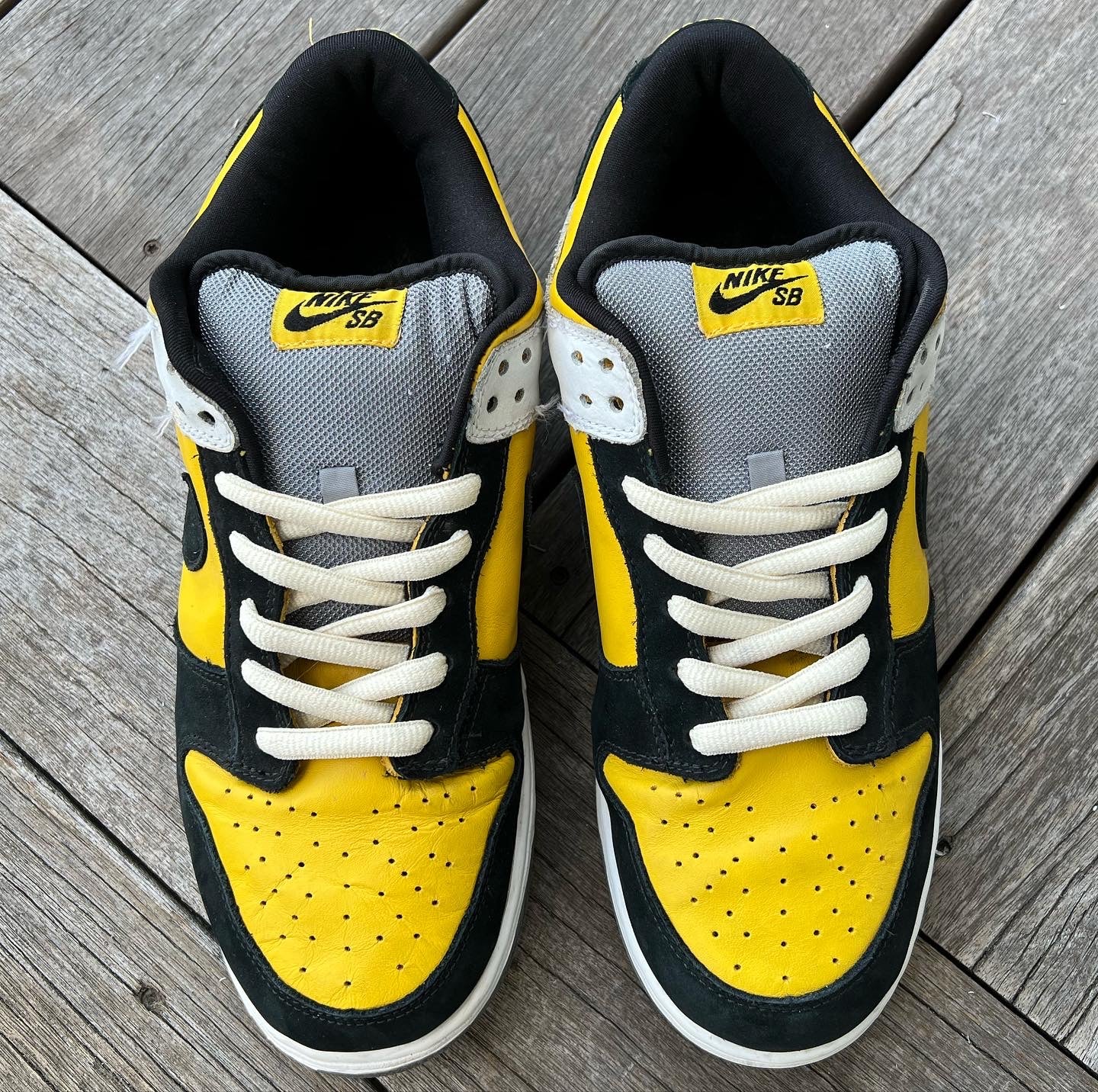 Nike best sale sb bic